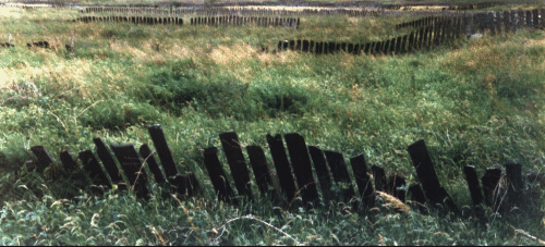 slate fences